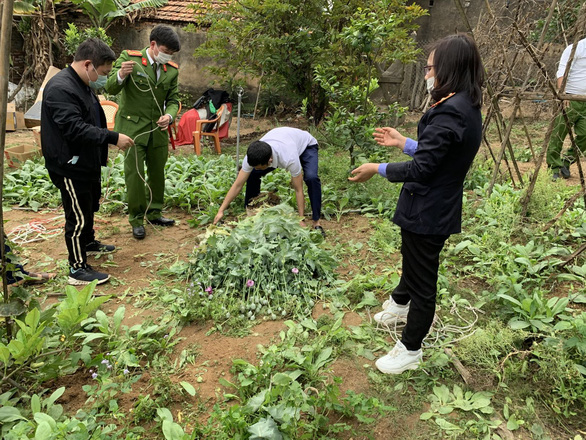 TRỒNG CẦN SA LÀ RƯỚC HỌA